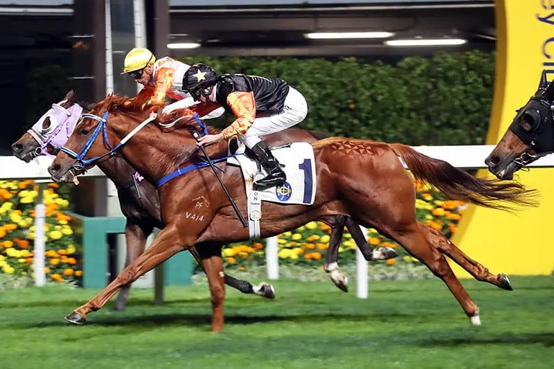 Zac Purton wins 800th race