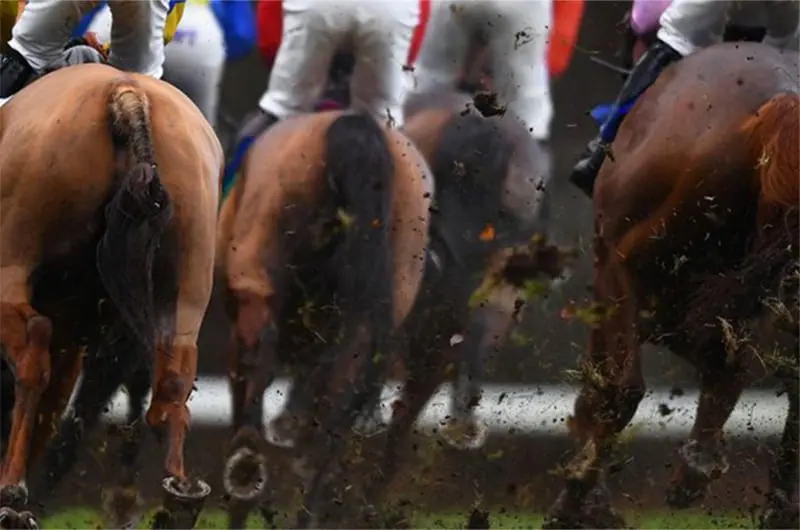 Equine influenza positives places UK racing industry in turmoil