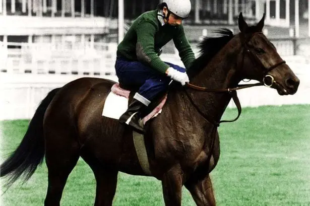 Red Rum