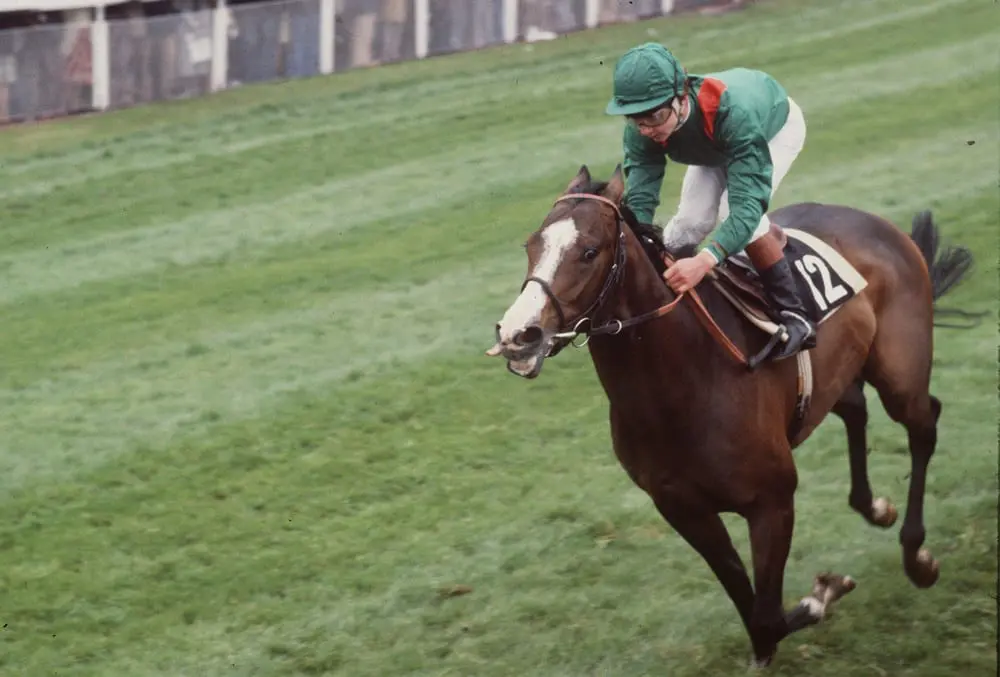 Shergar
