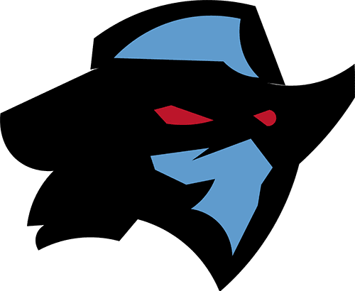 Dallas Renegades