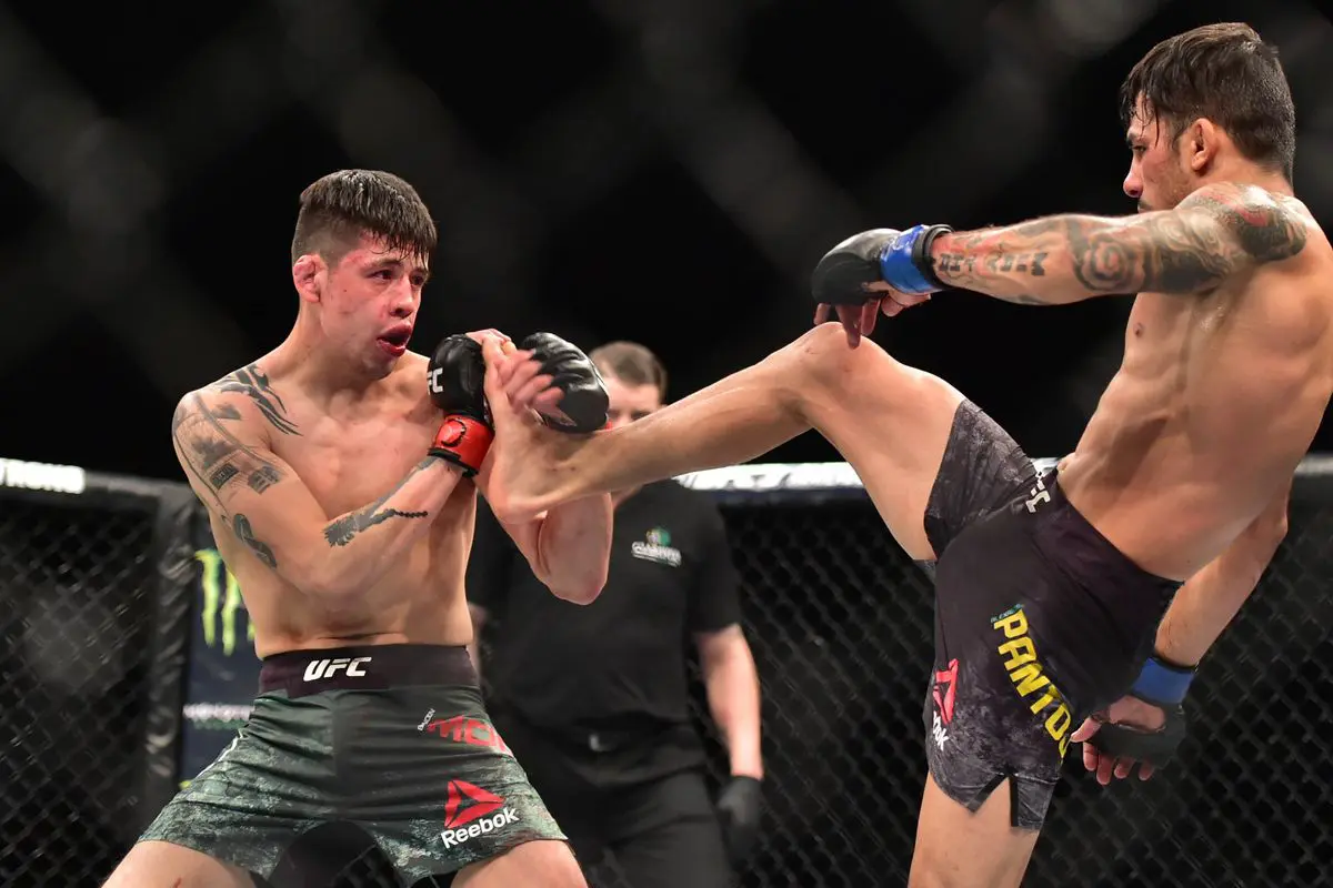 Moreno v Pantoja UFC 290 betting preview & picks – flyweight title