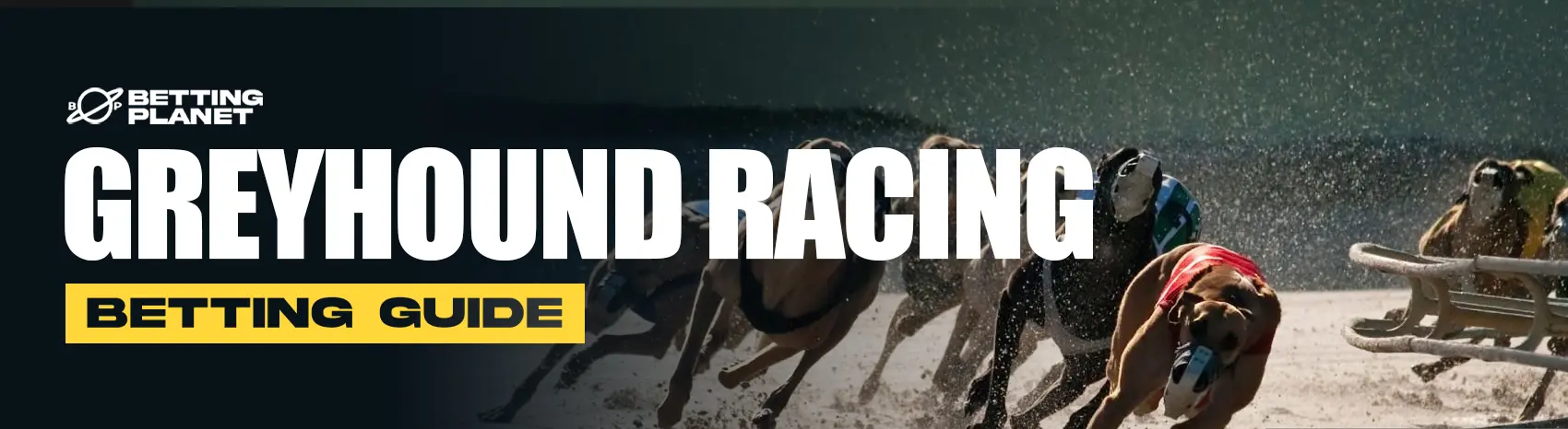Betting on the greyhounds