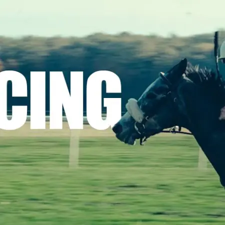 How to bet on horse racing