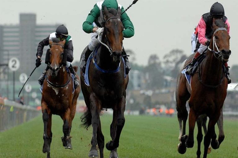 Irish horse racing