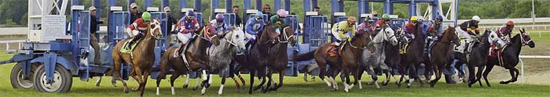 Horse racing betting sites in Pennsylvania